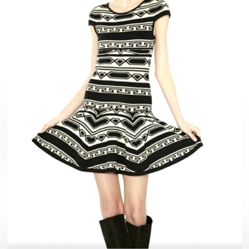 Alice + Olivia Black and White Geometric Fit-and-Flare Mini Dress